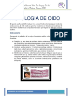 Histologia de Oido