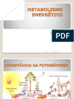 BIO-Fotossintese.pps