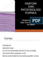 Anatomi & Fisiologi Kornea-tegar