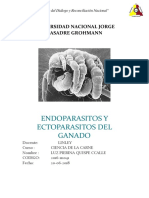 Endoparasitos y Ectoparasitos Del Ganado