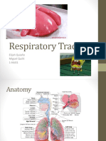 Respiratory Tract: Elijah Quiaño Miguel Quilit 1-NU01