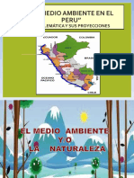 Situacion Del Medio Ambiente Del Peru - 1 Ppt.