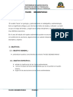 expo. estratigrafia ..docx