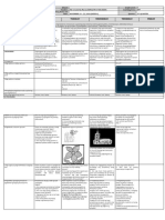 DLL - Epp 5 - Q3 - W4