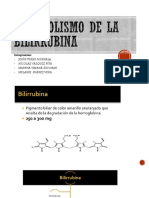 Metabolismo de La Bilirrubina