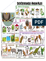 Describir-Animales.pdf