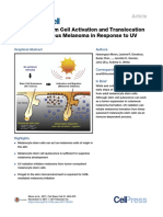 Melanocyte Stem Cell Activation and Translocation Initiate Cutaneous Melanoma in Response to UV Exposure