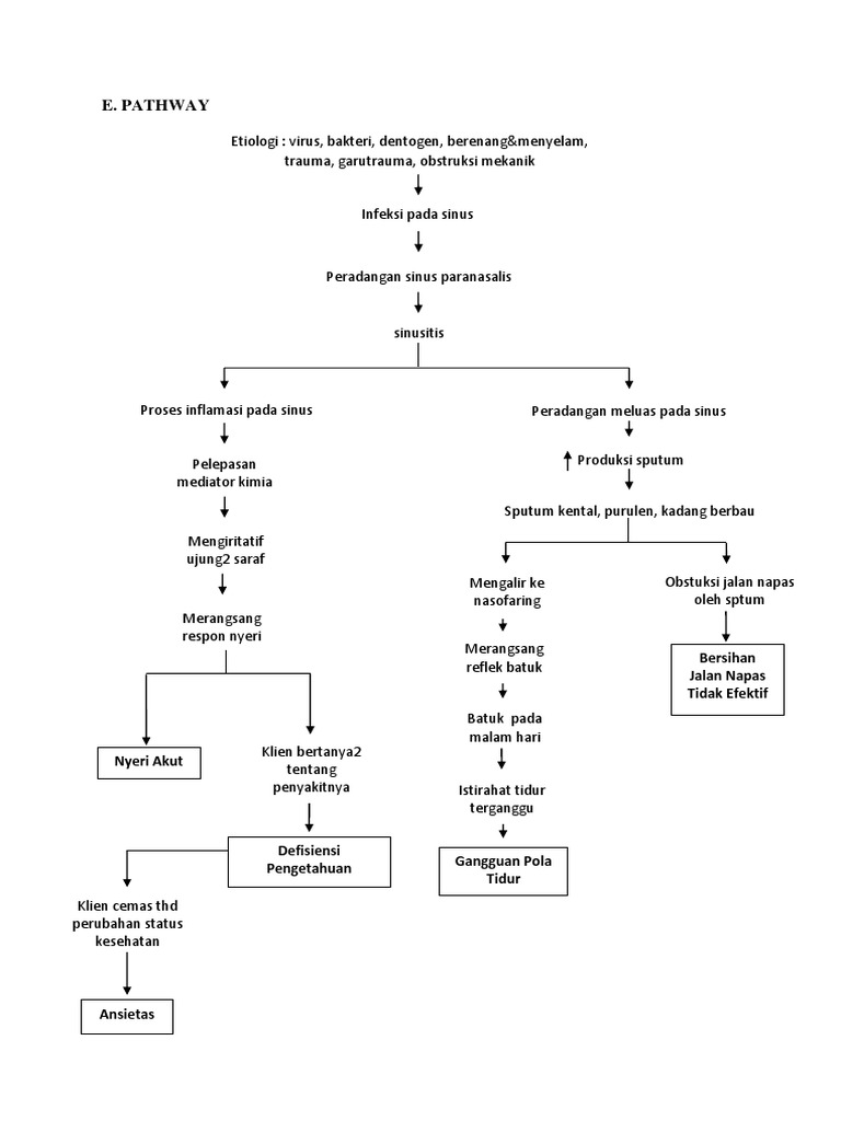 Pathway Sinusitis dan Manifestasinya | PDF