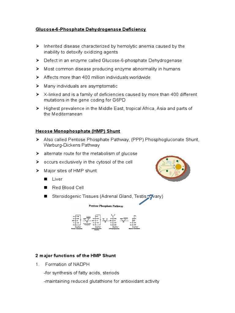14 Glucose 6 Phosphate Dehydrogenase Deficiency | PDF | Nicotinamide ...
