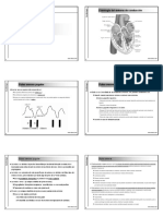 Cardiologia Diapositivas 2004-2005 PDF
