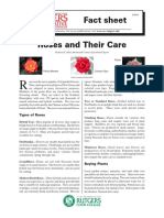 care about roses.pdf