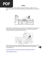 Aise Euskera 3 Maila Pdf