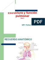 Estructura y Funcion Pulmonar