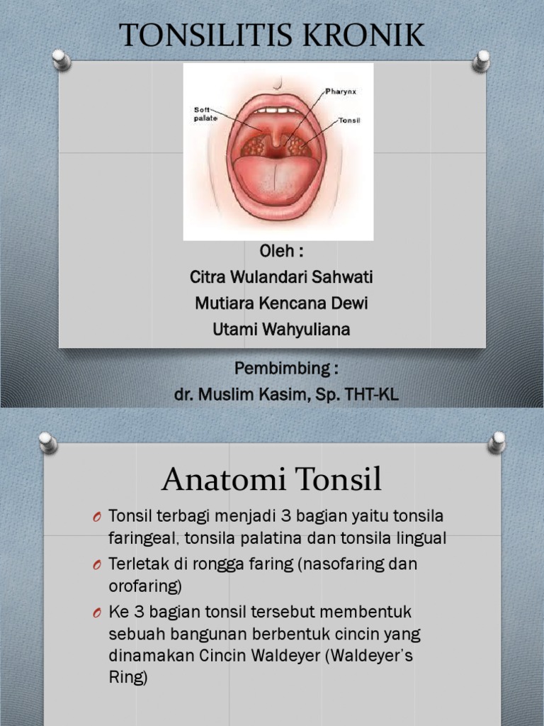 Behayo pornografik fotosuratlar