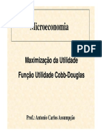 MAximização da utilidade.pdf