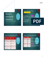 Mendels Monohybrid Inheritance