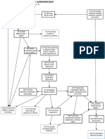 Patofiziologija Algoritmi PF1 PDF