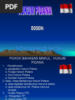 Download KULIAH HUKUM PIDANA by Said Helaby SN39378596 doc pdf