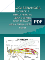 Fisiologi Serangga