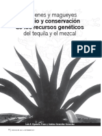 De Genes y Magueyes Tequila y Mezcal.pdf