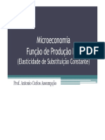 Função de Produção ESc.pdf