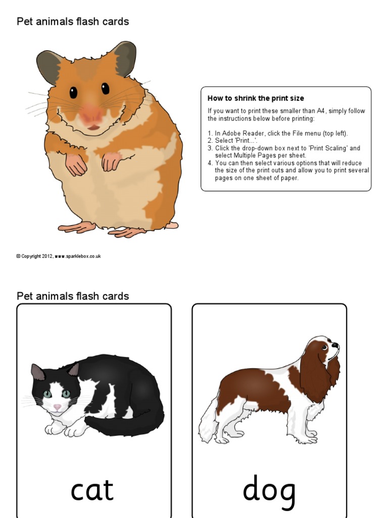 Oxford Activity Book For Children - 1 | PDF