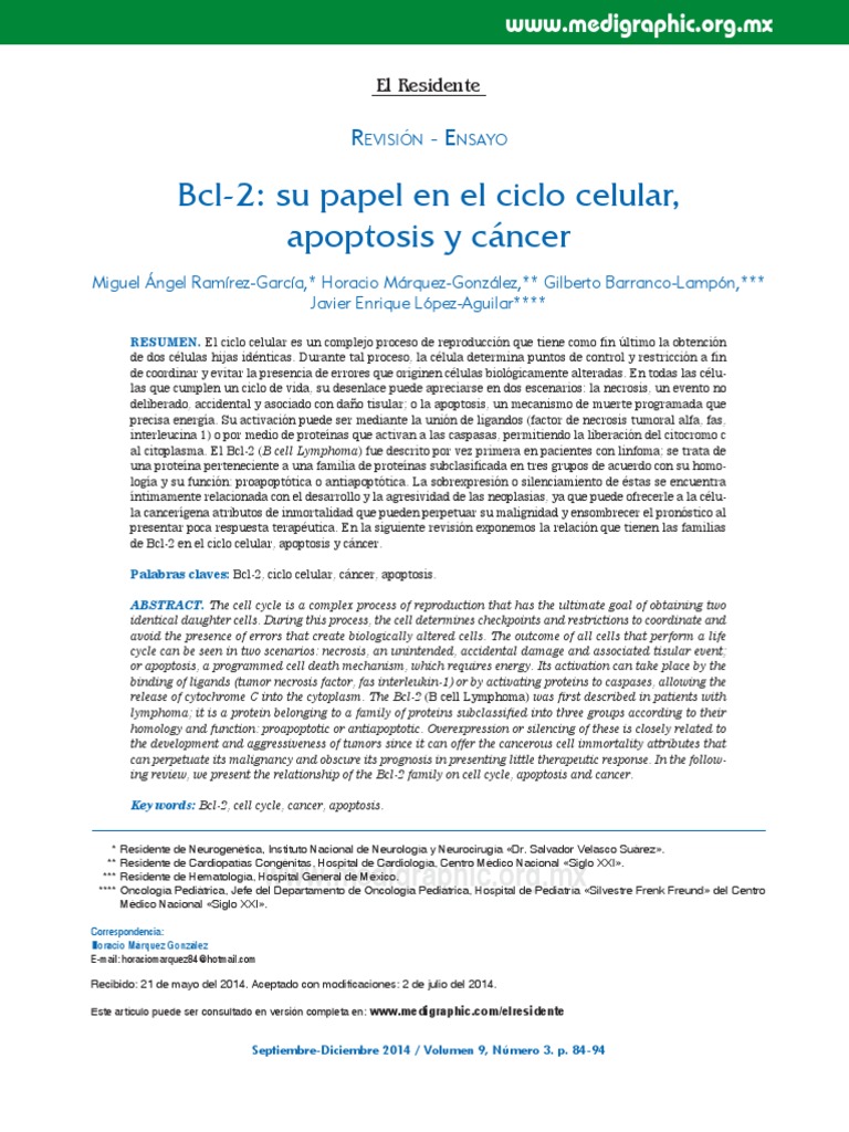BCL2 Su Papel en El Ciclo Celular - Apoptosis y Cancer PDF | PDF | Bcl ...