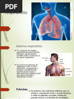 Sistema Respiratorio 