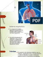 Sistema Respiratorio 