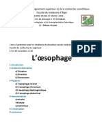 Anatomie de L'œsophage