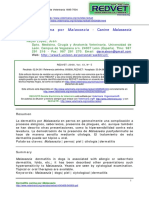 Malassezia pachydermatis.pdf