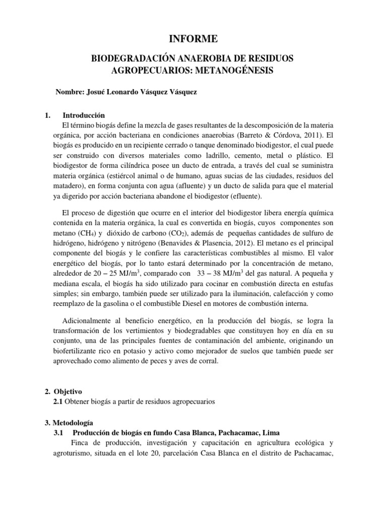 Metanogenesis 2 | PDF | Biogás | Naturaleza