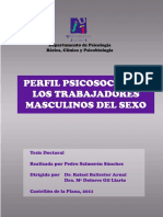 PERFIL PSICOSOCIAL DEL TSM SALMERON.pdf