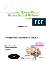 Funciones Motoras de La Medula Espinal Reflejos Medulares DR Merello