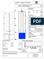 COUGAR 1 TAM.pdf