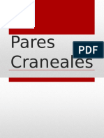 Pares Craneales