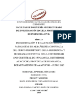 Determinación y evaluación de patologías en albañilería confinada