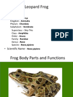 Frogbodypartsandfunctions Leopard Frog