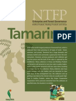 Tamarind: Enterprise and Forest Governance