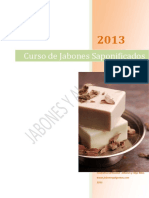 Guia Saponificados-2013.pdf