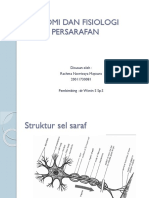 anatomi fisiologi sistem saraf rachma.pptx