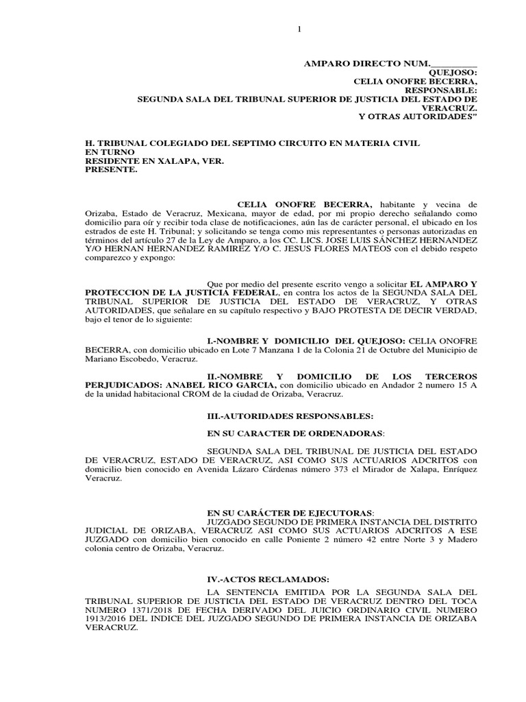 Ejemplo de Amparo Directo en Veracruz | PDF | Caso de ley | Debido al ...