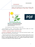 Biochimie - Metabolismul Generalitati