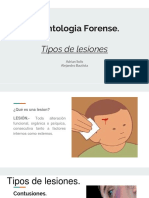 Tipos de Lesiones