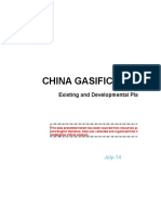 China Gasification Database: Existing and Developmental Plants and Projects