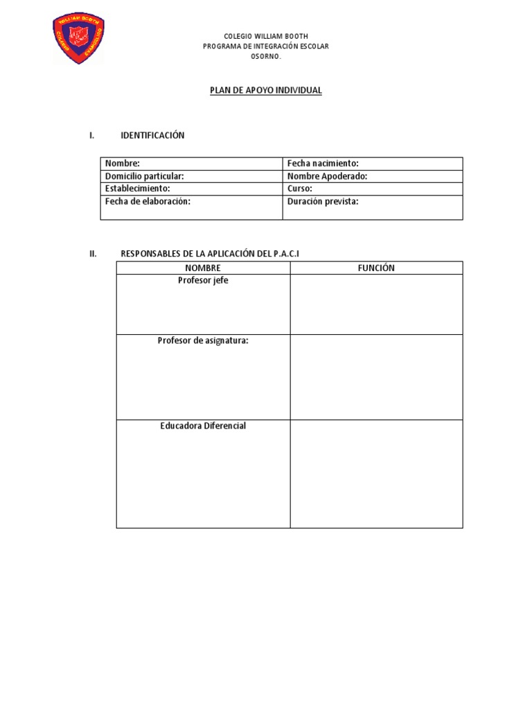 Plan de Apoyo Individual PDF