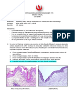 Parcial Integración Clinico Patológica 1 2018 1 Clave 2