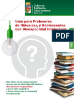 Guia para Padres y Profesores para niños con DI.pdf