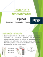 Lipidos