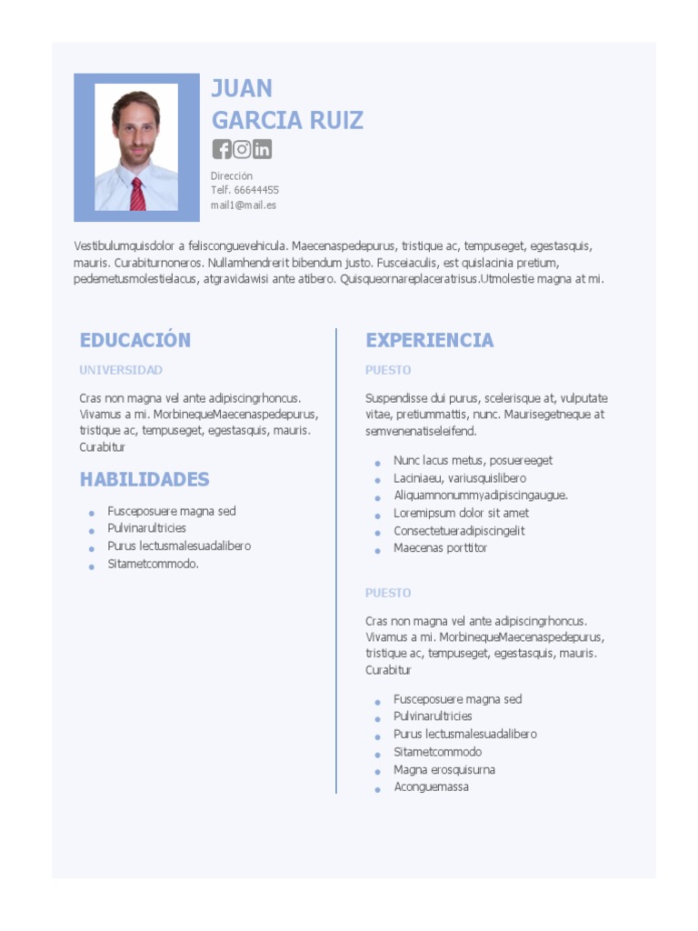 Curriculum vitae infojobs 08 image